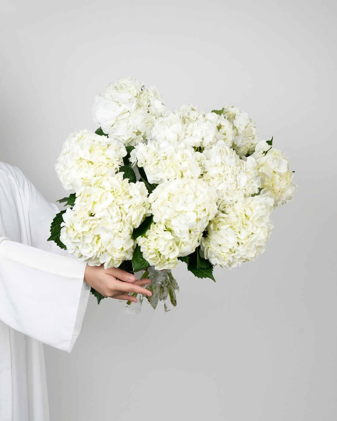 Hydrangea - Premium White ( 5 Stems ) - Laflora.ae