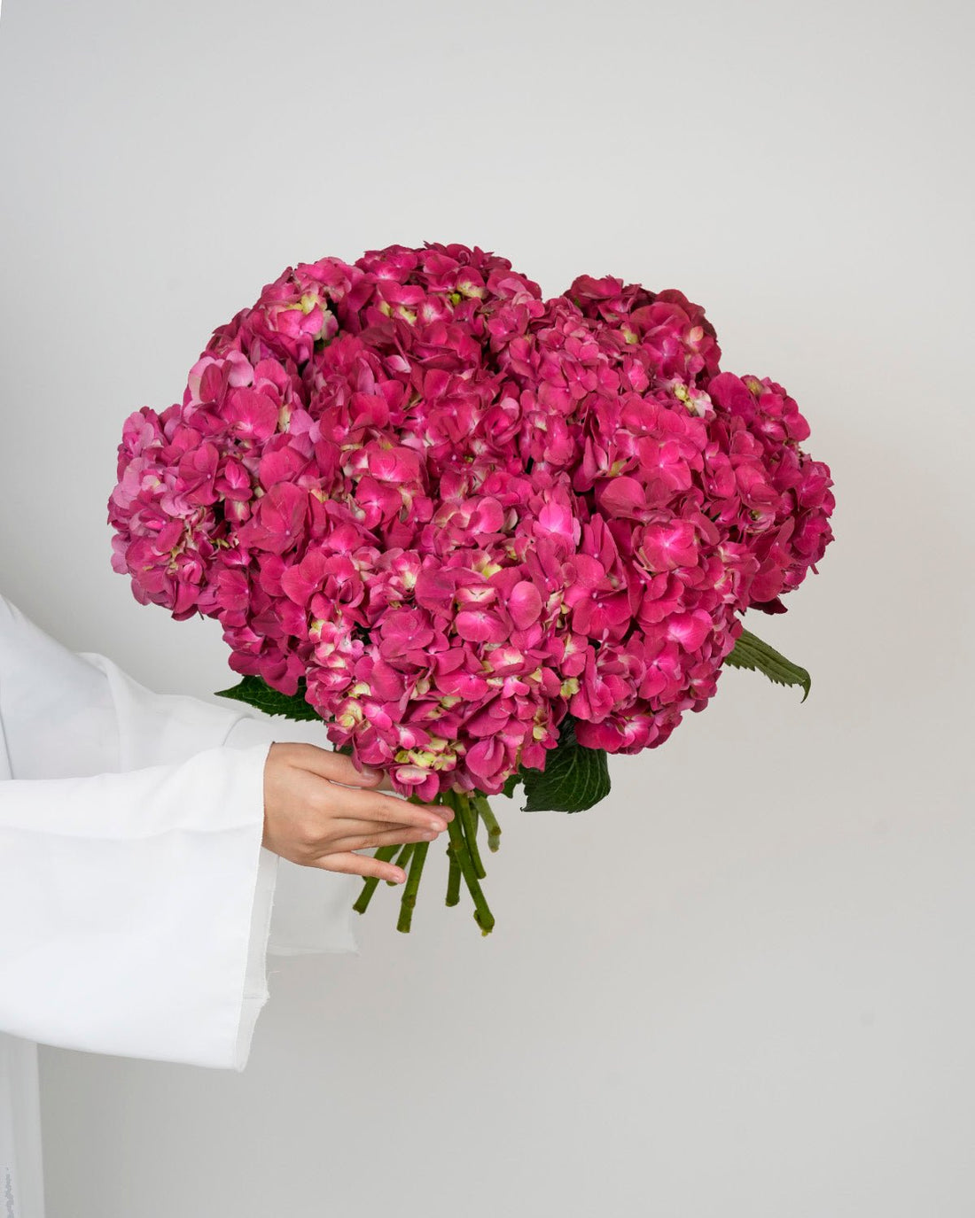 Pink Hydrangea - Premium - Laflora.ae