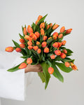 Tulip Orange - Laflora.ae