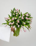 Tulip Light Pink - Laflora.ae