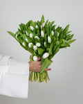 Tulips - Royal White - Laflora.ae