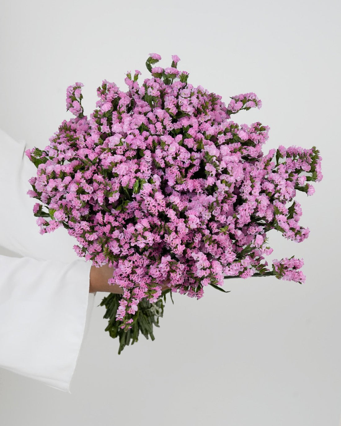 Statice Pink - 25 Stems - Laflora.ae