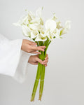Calla Lily - White Standard (10 Stems) - Laflora.ae