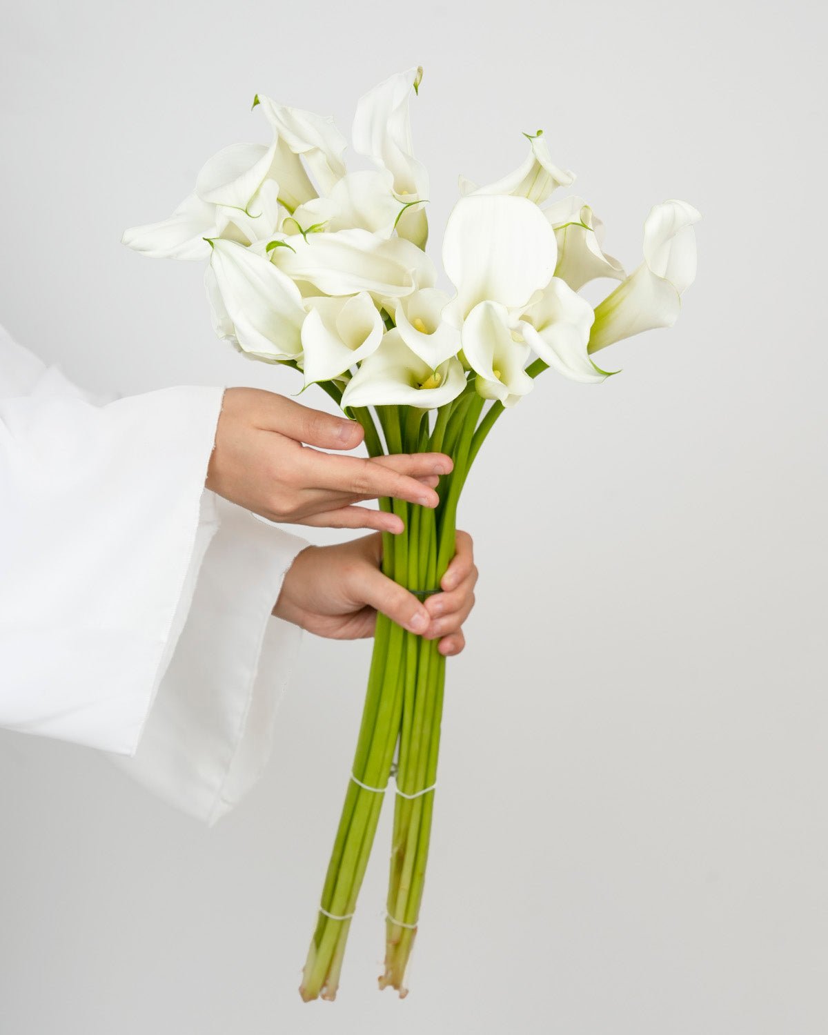 Calla Lily - White Standard (10 Stems) - Laflora.ae