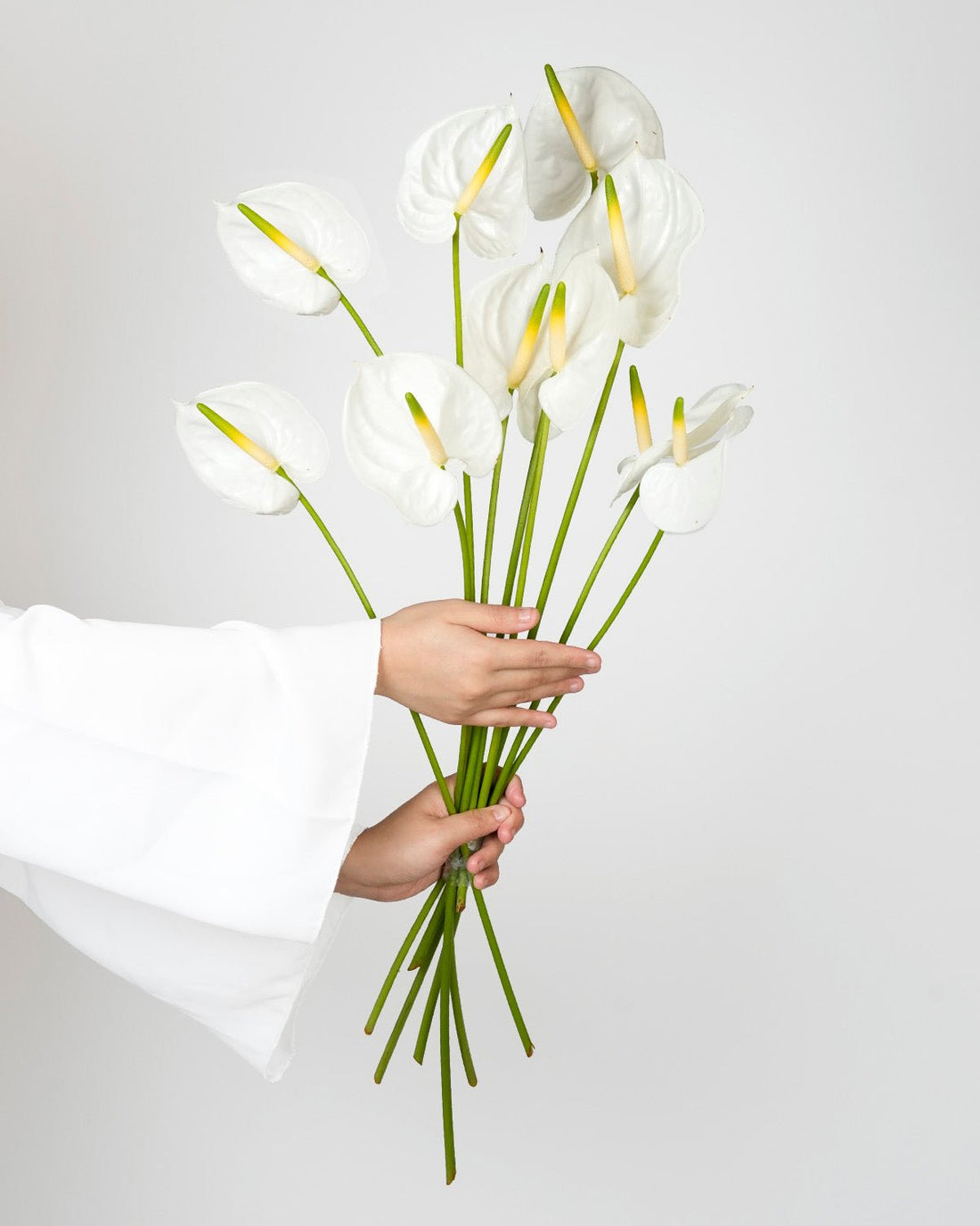 Anthurium White - 5 Stems - Laflora.ae