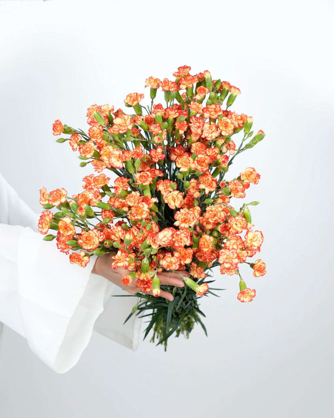 Spray Carnation Double Color Orange - 20 Stems - Laflora.ae