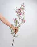 Wax Flower - Pinky Lavender (25 Stems) - Laflora.ae