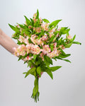 Peach Alstroemeria (Bunch) - Laflora.ae