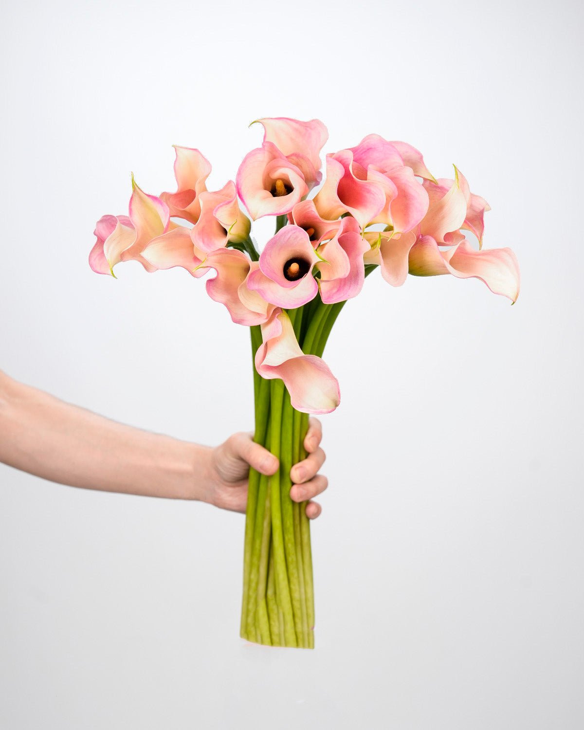 Calla Lily - Pink (10 Stems) - Laflora.ae