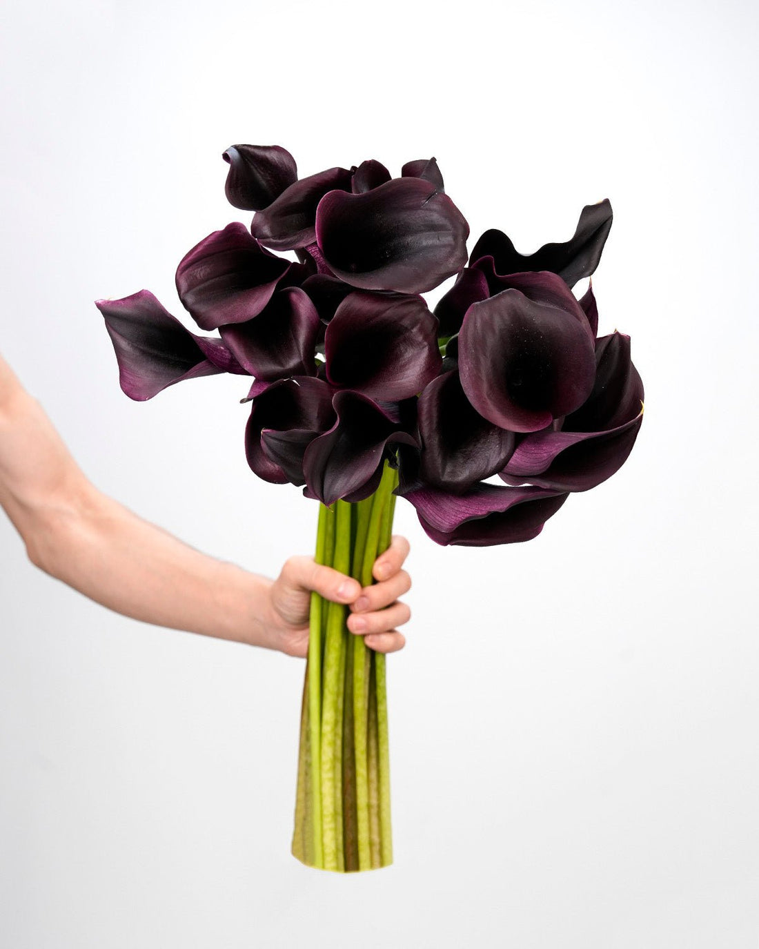 Calla Lily Dark Purple - (10 Stems) - Laflora.ae