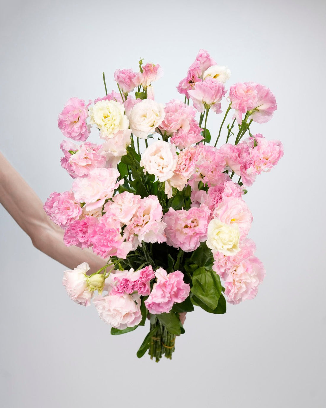 Lisianthus (Eustoma) Pink - Bunch - Laflora.ae
