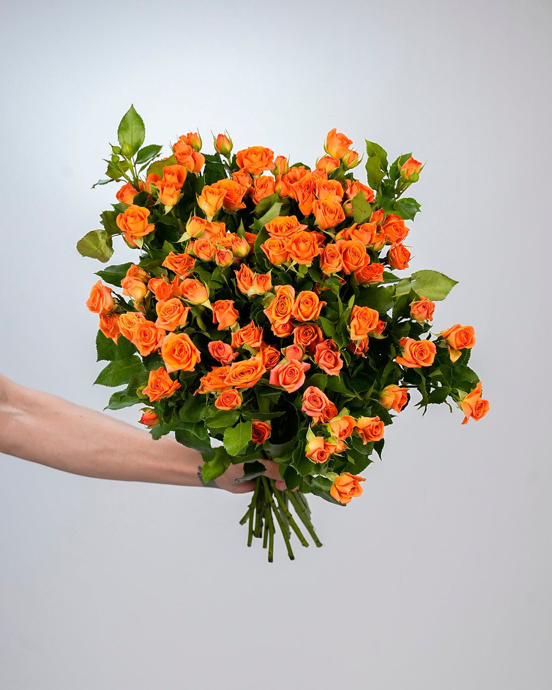 Spray Rose Orange - 10 Stems - Laflora.ae