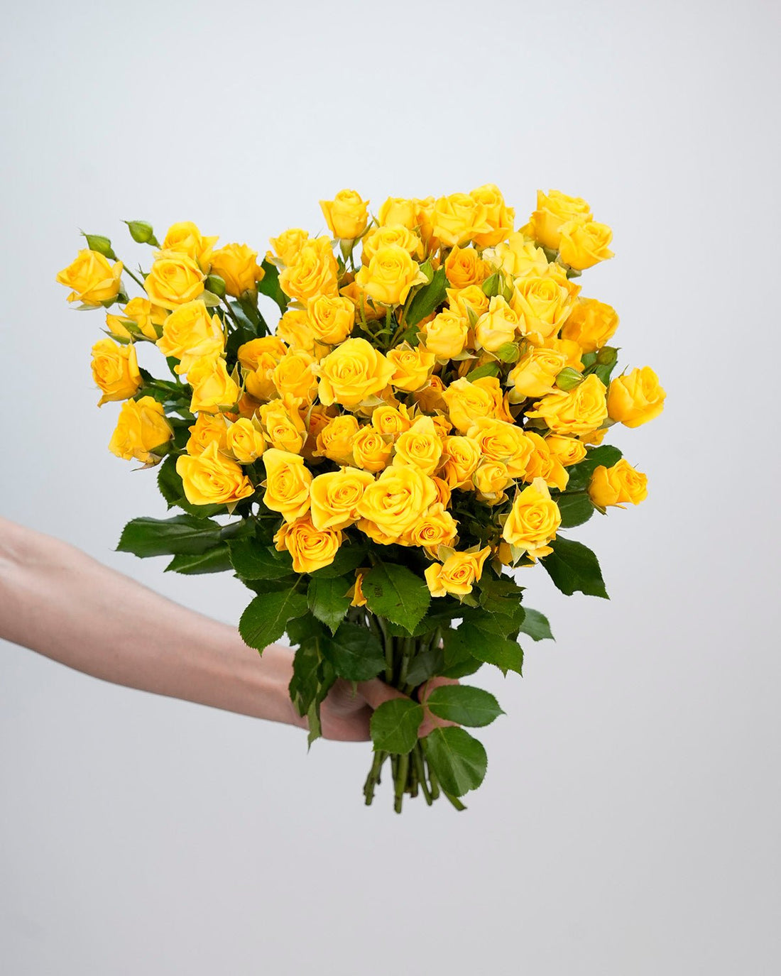 Spray Rose Yellow - 10 Stems - Laflora.ae