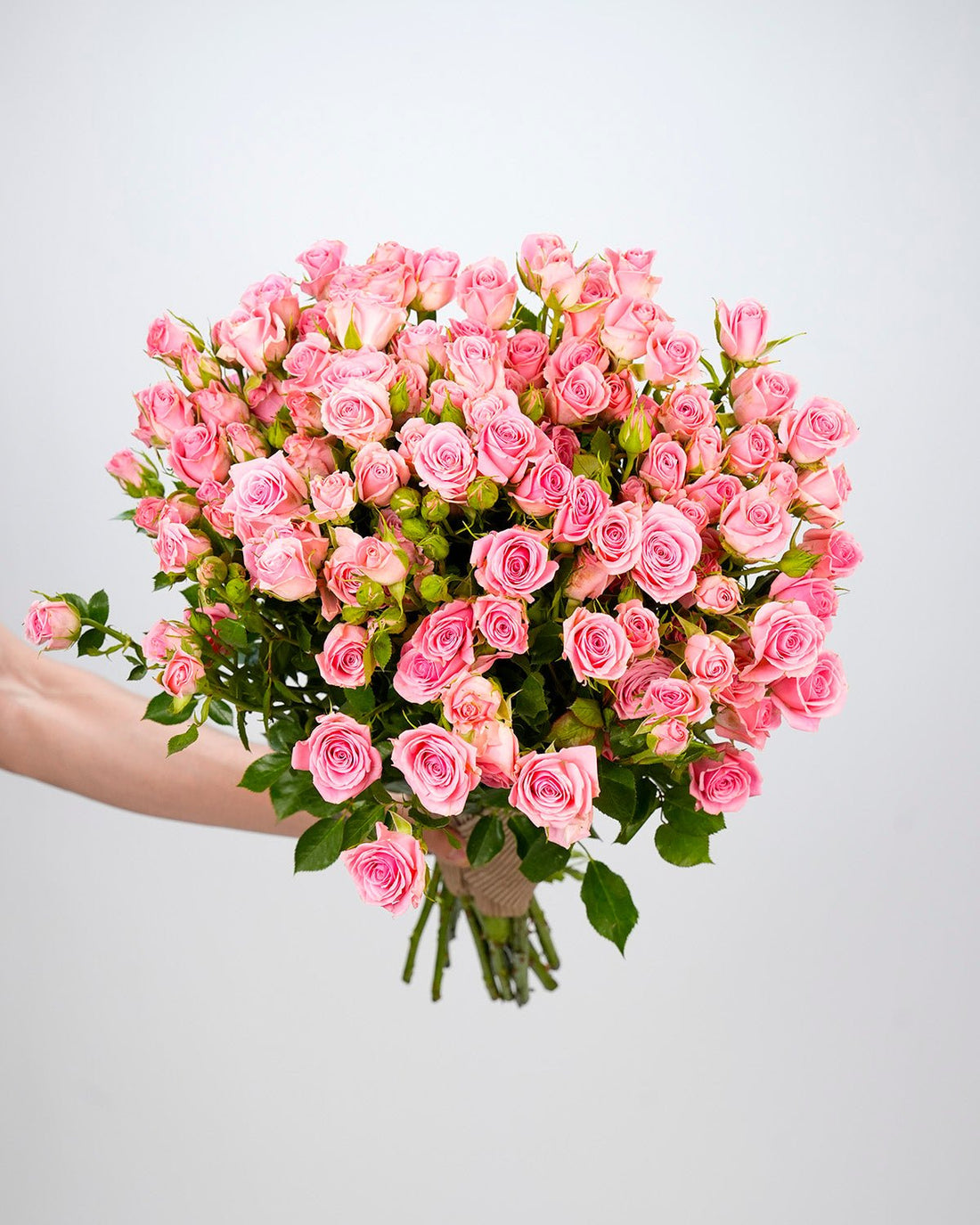 Spray Rose Light Pink - 10 Stems - Laflora.ae