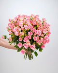 Spray Rose Light Pink - 10 Stems - Laflora.ae
