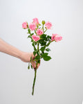 Spray Rose Light Pink - 10 Stems - Laflora.ae