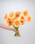 Gerbera Salmon Orange - 10 Stems - Laflora.ae