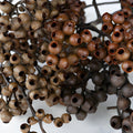 Brown Dried Berries (1 Bunch) - Laflora.ae