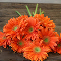 Gerbera - Pumpkin Orange (5 Stems) - Laflora.ae