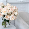 Garden Rose - White Ohara - Laflora.ae