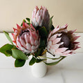 Protea - King (2 Stem) - Laflora.ae