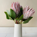 Protea - King (2 Stem) - Laflora.ae