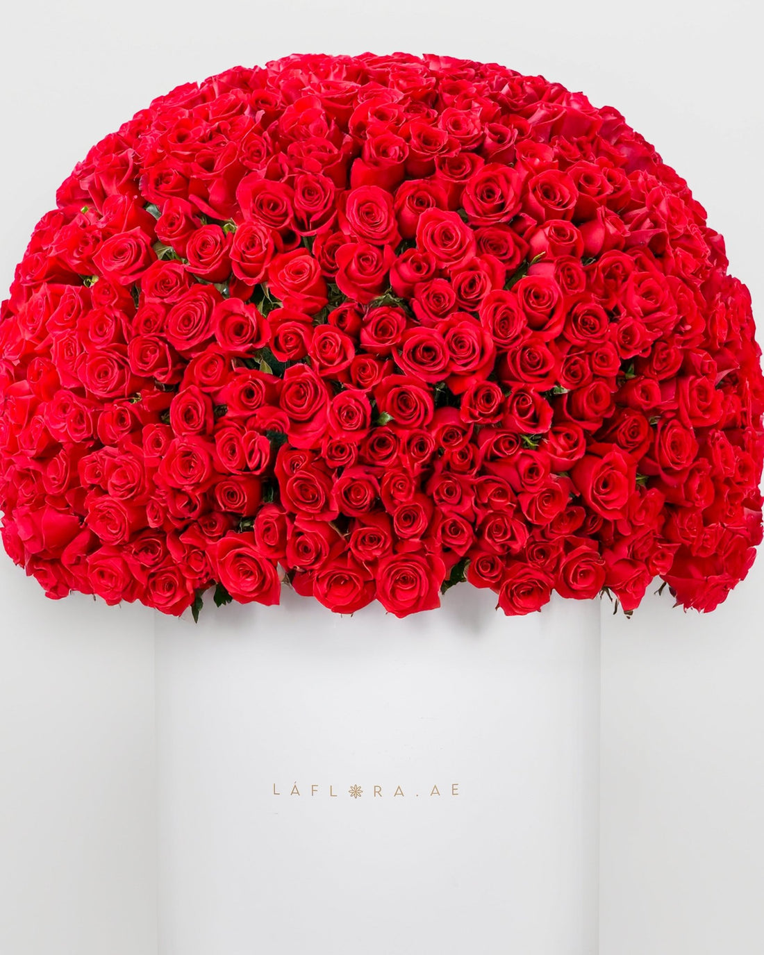 500 Red Roses Luxury Box - Laflora.ae