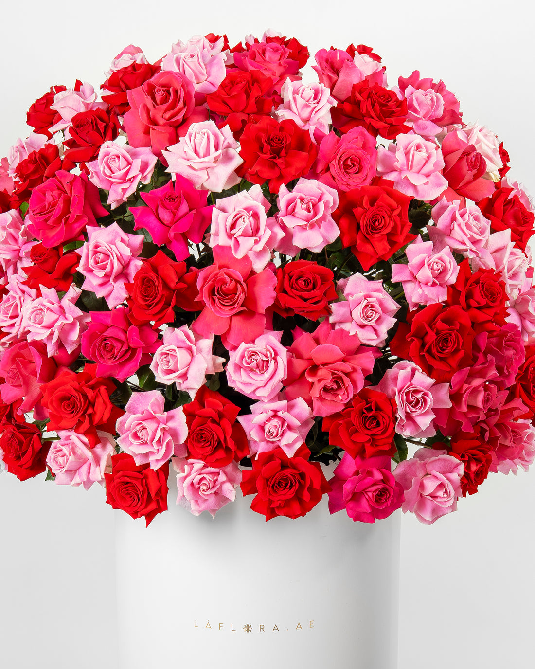 French Roses Luxury Box