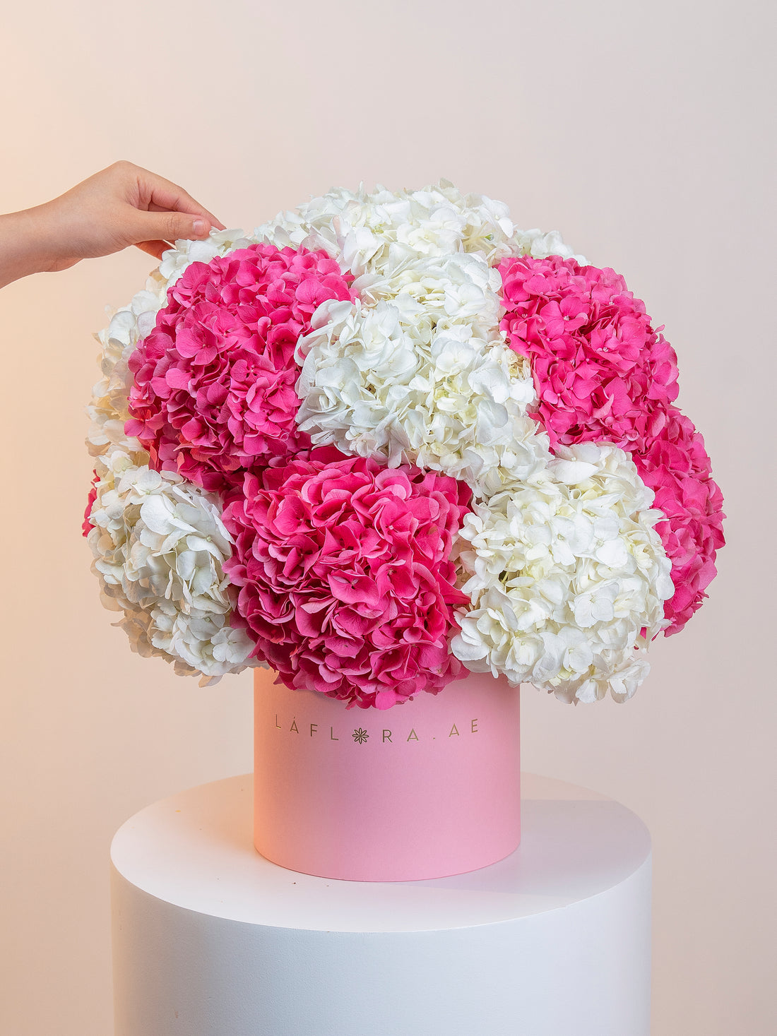 White & Pink Hydrangeas Box