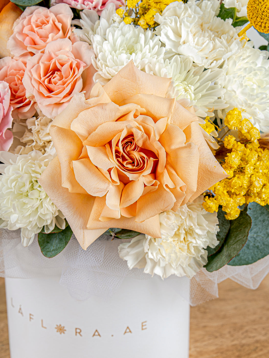 صندوق الأحلام الخيالية