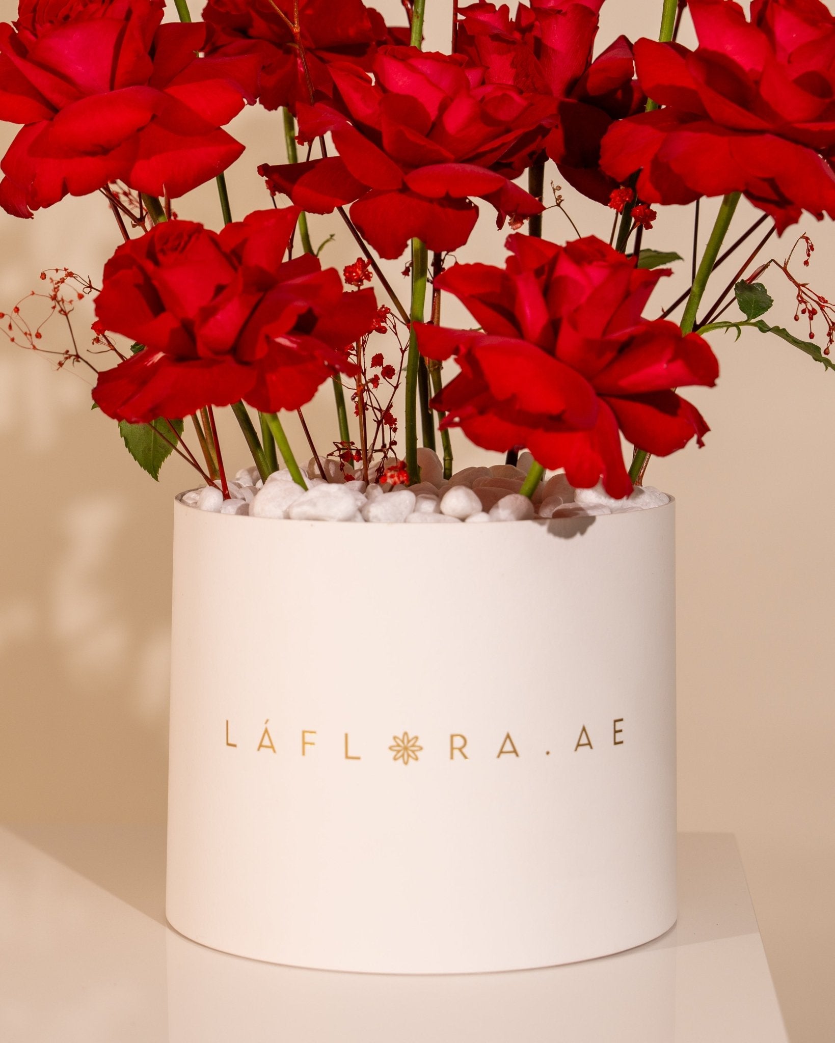 Rosette Whisper - Laflora.ae