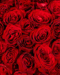 Valentine 451 Red Roses Luxury Flower Box - Laflora.ae