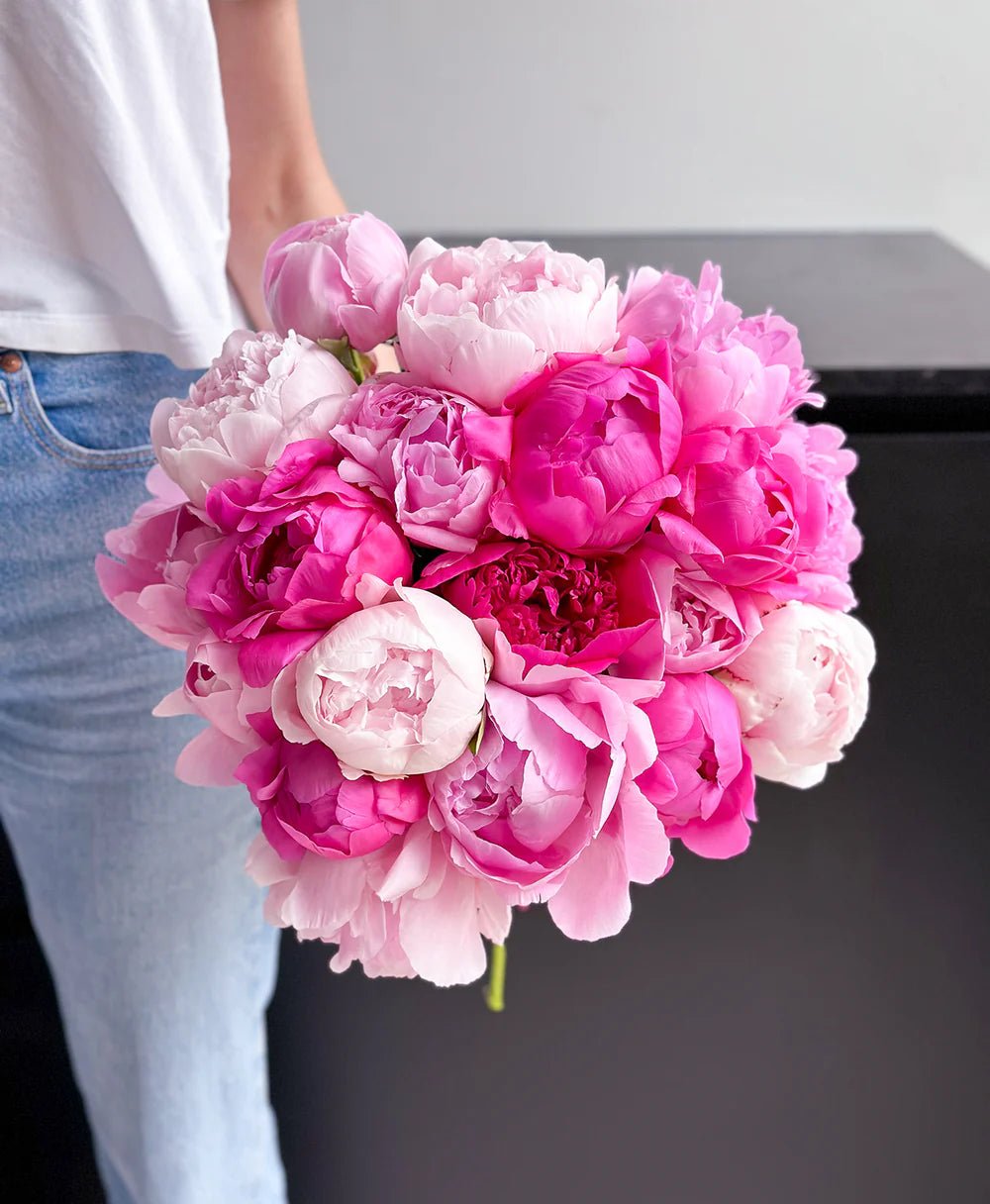 Pink Peonies Mix - Laflora.ae