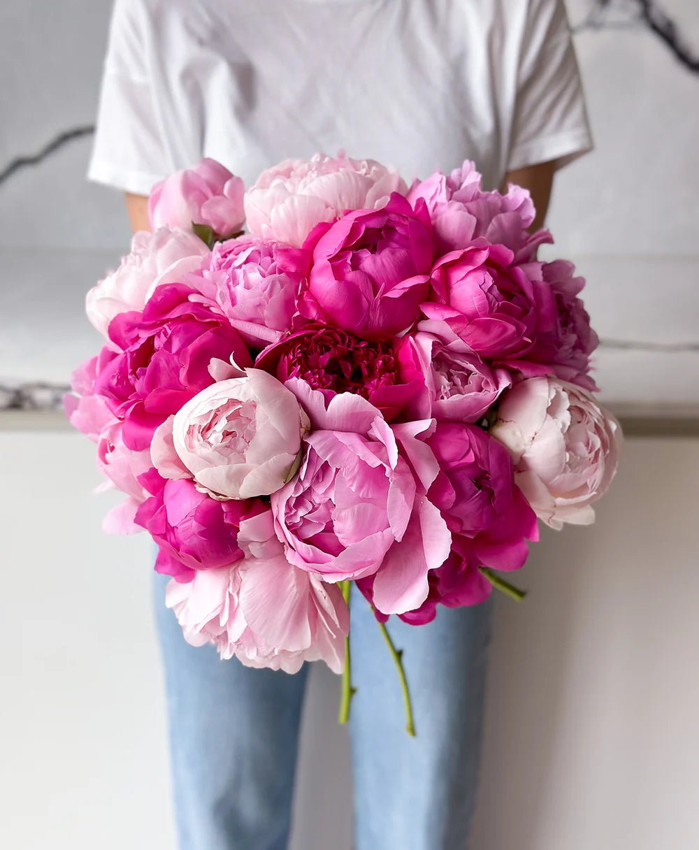 Pink Peonies Mix - Laflora.ae