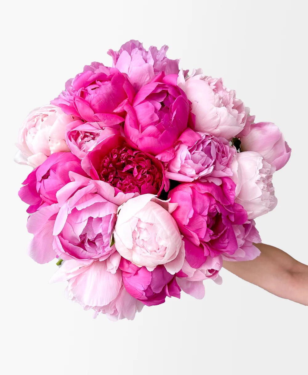 Pink Peonies Mix - Laflora.ae