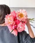 Coral Flamingo Peonies - Laflora.ae