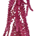 Amaranthus - Red Hanging - Laflora.ae