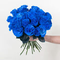 Rose - Blue Tinted (25 Stems) - Laflora.ae
