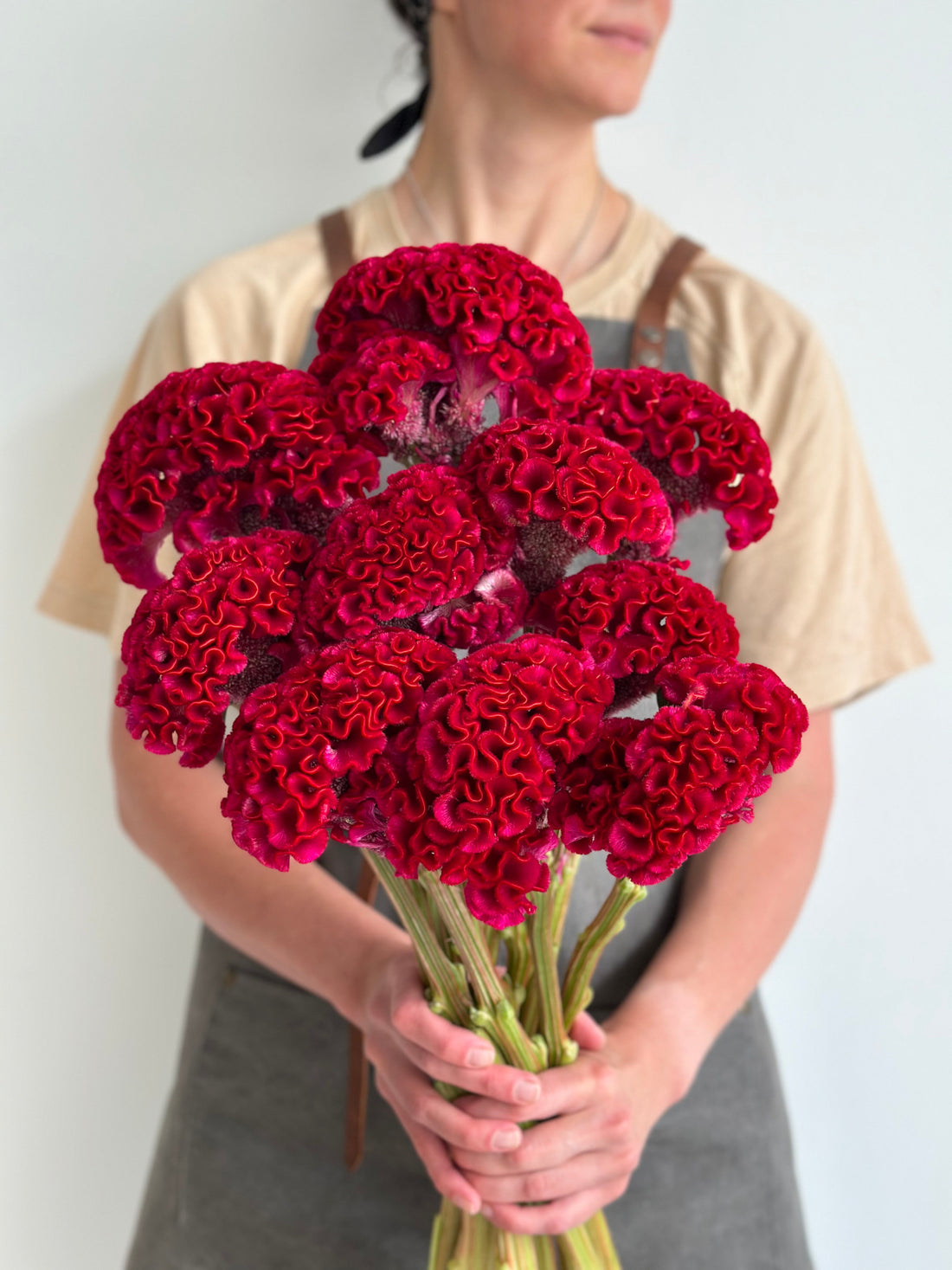 Celosia - Dark Red (5 Stems) - Laflora.ae