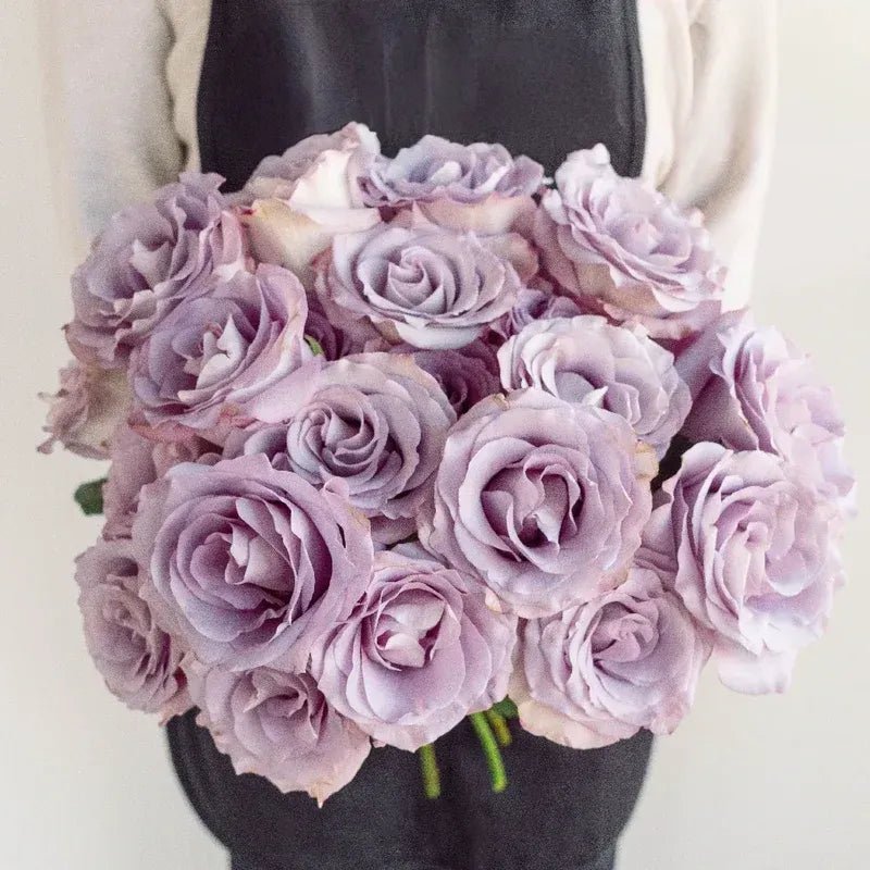Rose - Lilac Amnesia (25 Stems) - Laflora.ae