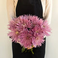 Chrysanthemum - Single Capriool (10 Stems) - Laflora.ae