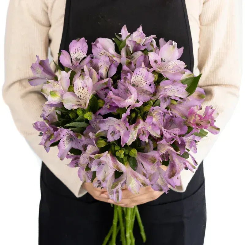 Purple Passion Alstroemeria (Bunch) - Laflora.ae