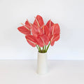Pink Anthurium - Laflora.ae