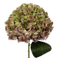 Green Antique Hydrangea - Premium - Laflora.ae