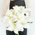 Lily - Ivory Oriental (10 Stems) - Laflora.ae