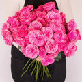 Rose - Pink Garden (12 Stems) - Laflora.ae