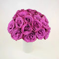 Rose - Deep Purple - Laflora.ae