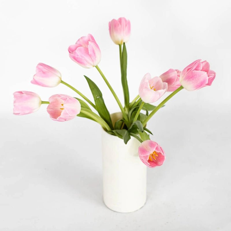 Tulips - Blush (10 Stems) - Laflora.ae