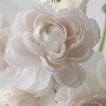 Ranunculus - Blush Italian Cloony (10 Stems) - Laflora.ae