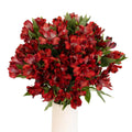 Red Alstroemeria (Bunch) - Laflora.ae